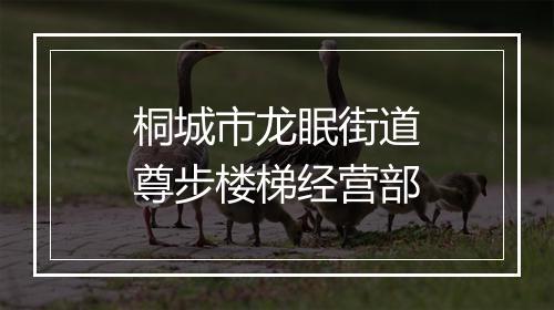 桐城市龙眠街道尊步楼梯经营部