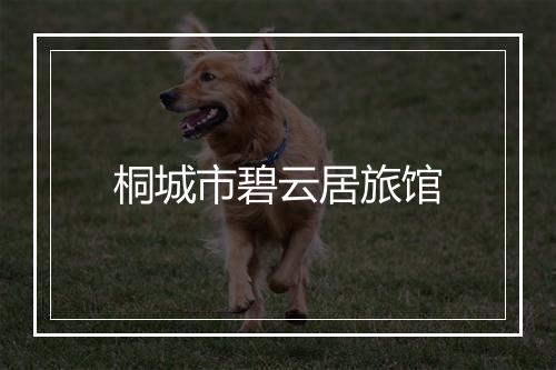 桐城市碧云居旅馆