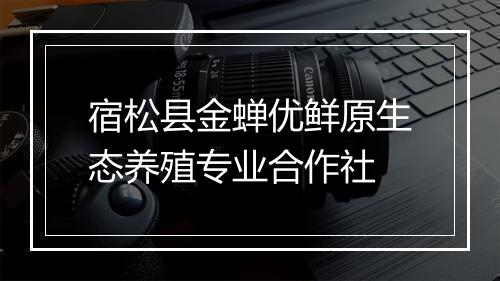 宿松县金蝉优鲜原生态养殖专业合作社