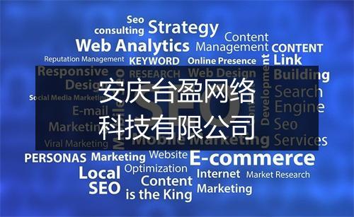 安庆台盈网络科技有限公司