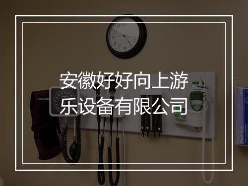 安徽好好向上游乐设备有限公司