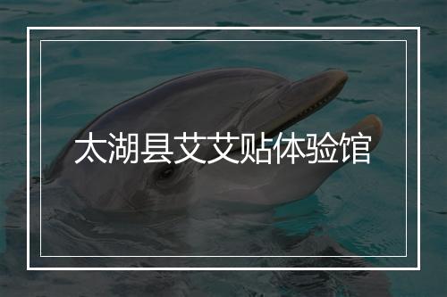 太湖县艾艾贴体验馆