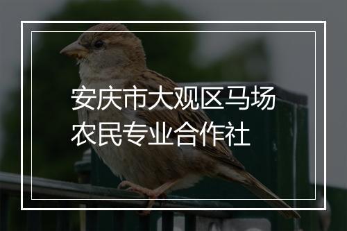 安庆市大观区马场农民专业合作社