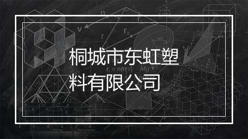 桐城市东虹塑料有限公司