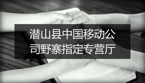 潜山县中国移动公司野寨指定专营厅
