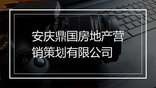 安庆鼎国房地产营销策划有限公司