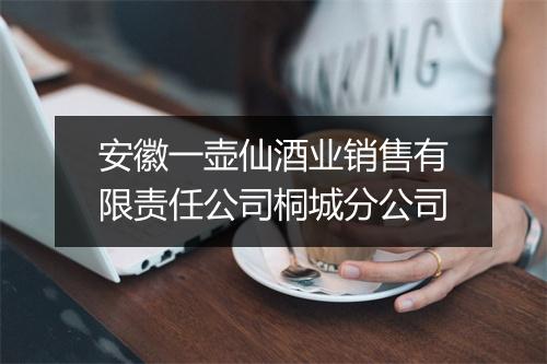 安徽一壶仙酒业销售有限责任公司桐城分公司