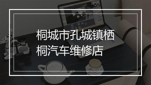 桐城市孔城镇栖桐汽车维修店