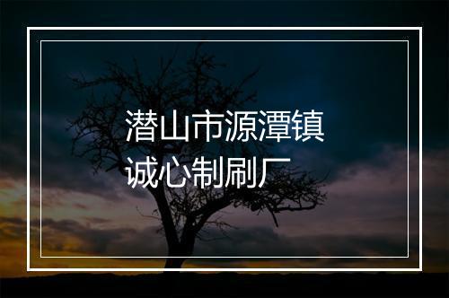 潜山市源潭镇诚心制刷厂