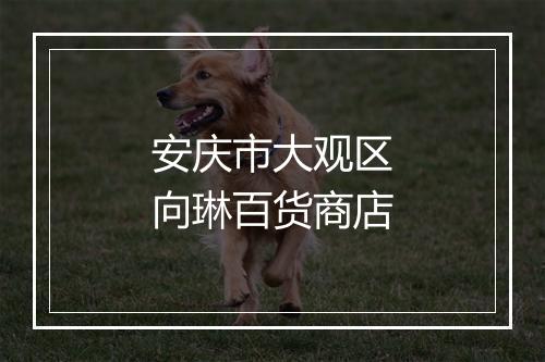 安庆市大观区向琳百货商店