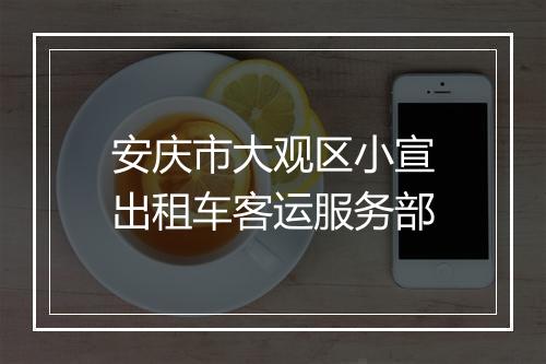 安庆市大观区小宣出租车客运服务部