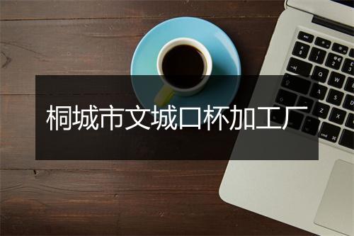 桐城市文城口杯加工厂