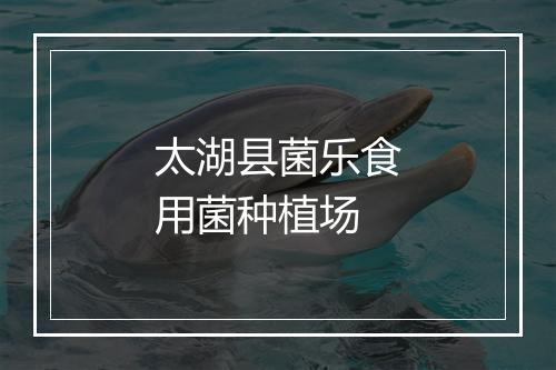 太湖县菌乐食用菌种植场