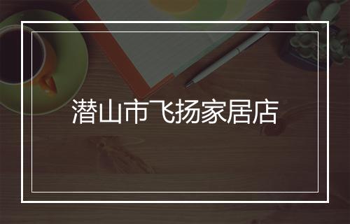 潜山市飞扬家居店