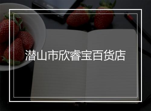 潜山市欣睿宝百货店