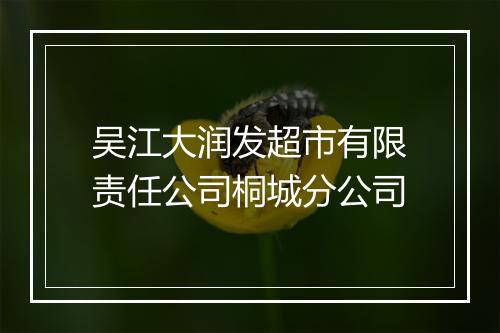 吴江大润发超市有限责任公司桐城分公司
