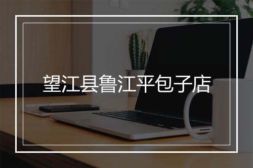 望江县鲁江平包子店