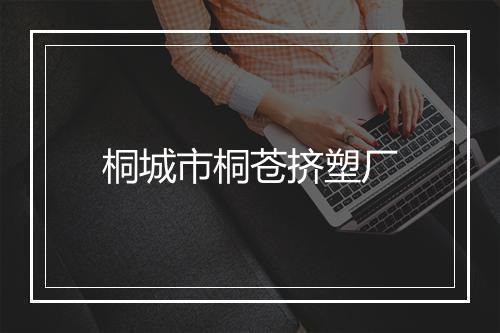 桐城市桐苍挤塑厂