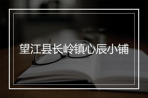 望江县长岭镇心辰小铺