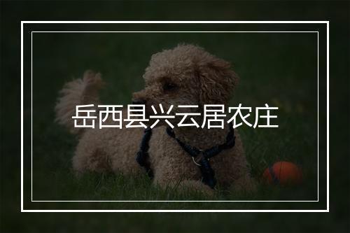 岳西县兴云居农庄