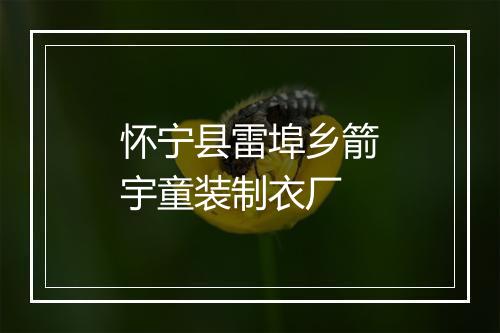 怀宁县雷埠乡箭宇童装制衣厂