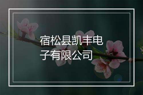 宿松县凯丰电子有限公司