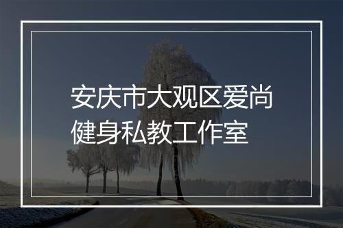 安庆市大观区爱尚健身私教工作室