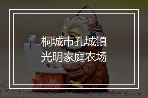 桐城市孔城镇光明家庭农场
