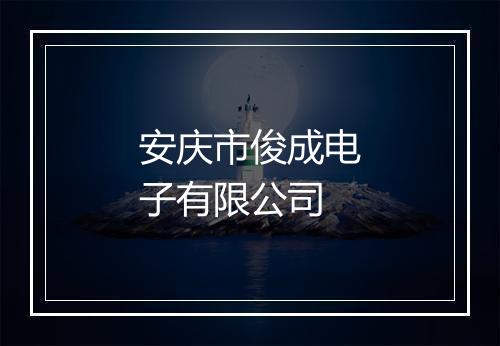 安庆市俊成电子有限公司