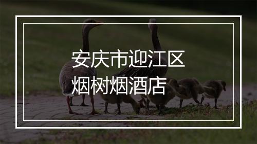安庆市迎江区烟树烟酒店