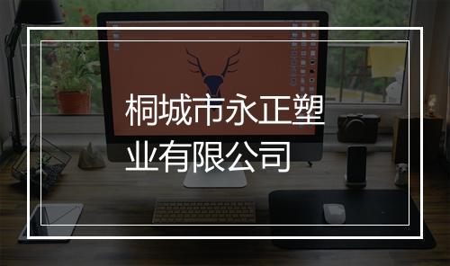 桐城市永正塑业有限公司