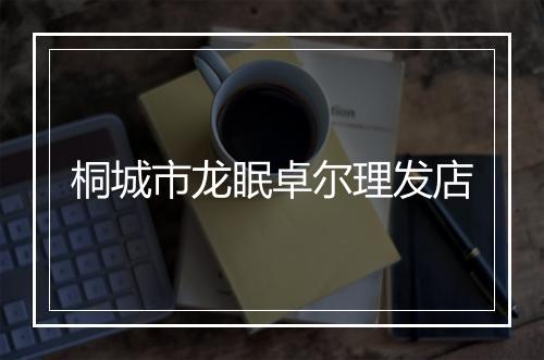 桐城市龙眠卓尔理发店