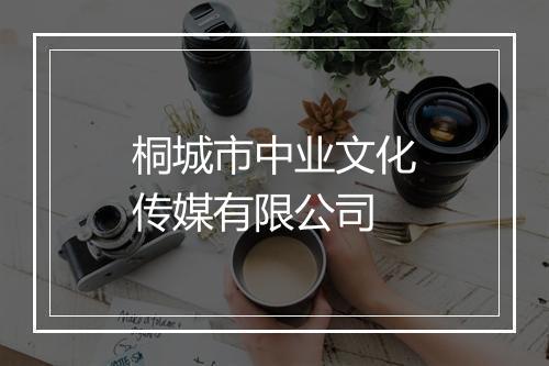 桐城市中业文化传媒有限公司