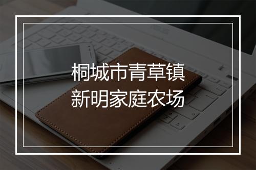桐城市青草镇新明家庭农场