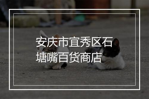 安庆市宜秀区石塘嘴百货商店