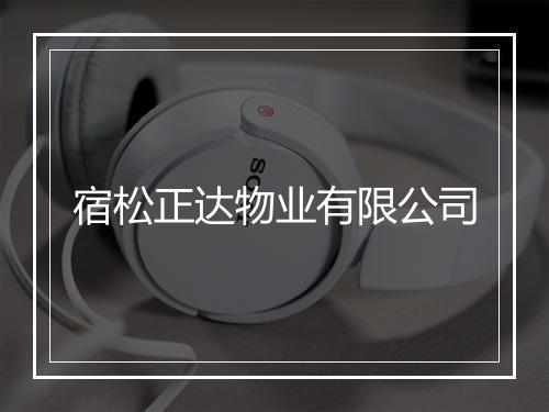 宿松正达物业有限公司