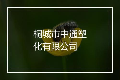 桐城市中通塑化有限公司