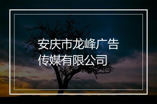 安庆市龙峰广告传媒有限公司