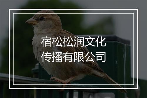 宿松松润文化传播有限公司