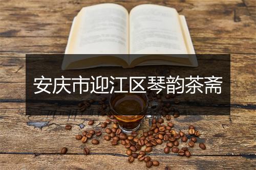 安庆市迎江区琴韵茶斋