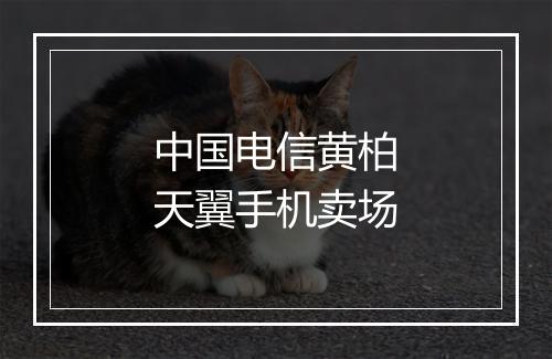 中国电信黄柏天翼手机卖场