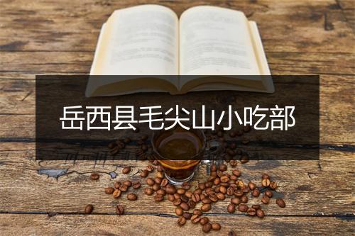 岳西县毛尖山小吃部