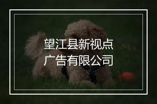 望江县新视点广告有限公司