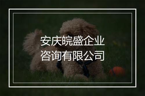 安庆皖盛企业咨询有限公司