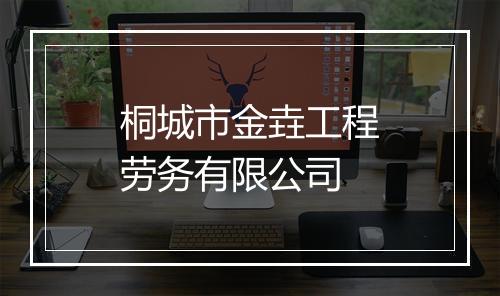 桐城市金垚工程劳务有限公司