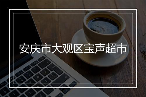 安庆市大观区宝声超市