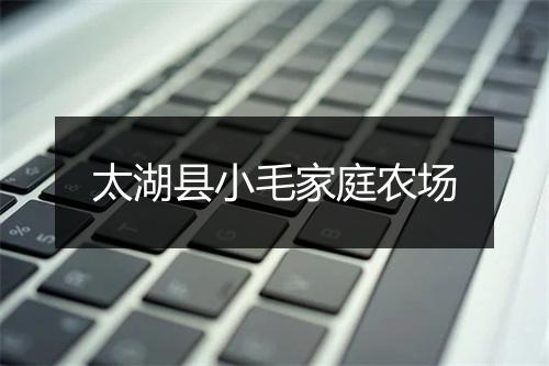 太湖县小毛家庭农场
