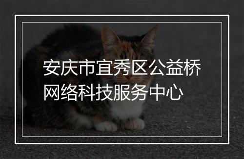 安庆市宜秀区公益桥网络科技服务中心