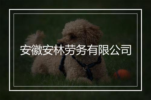 安徽安林劳务有限公司