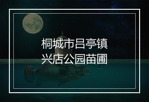桐城市吕亭镇兴店公园苗圃